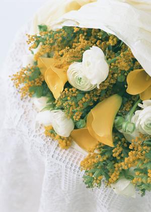 結婚指輪リースの審査ではなにを調べる